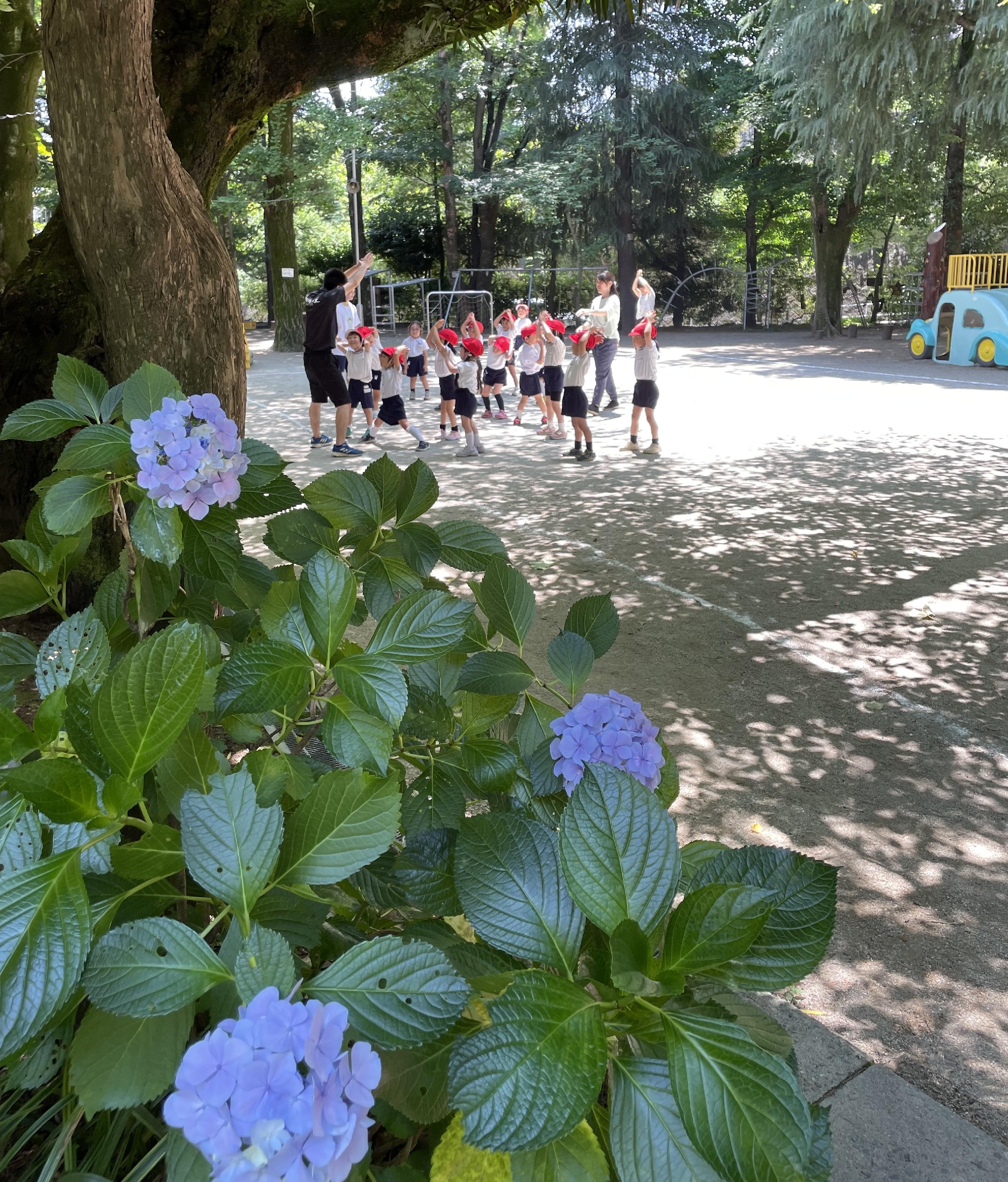 入園説明会のご案内